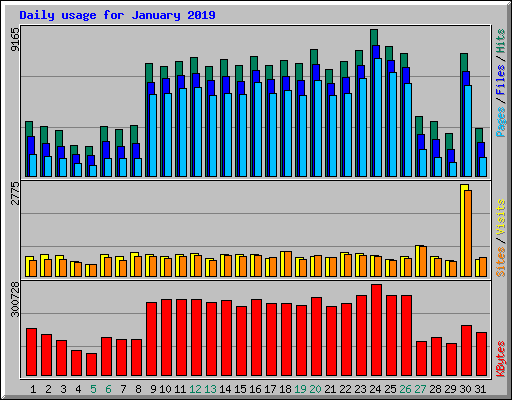Daily usage for January 2019