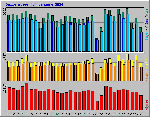 Daily usage for January 2020
