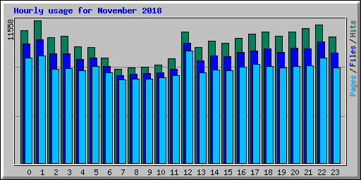 Hourly usage for November 2018