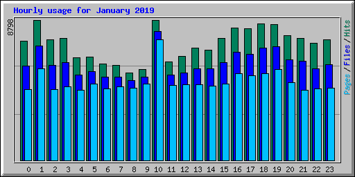 Hourly usage for January 2019