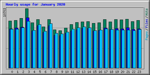 Hourly usage for January 2020