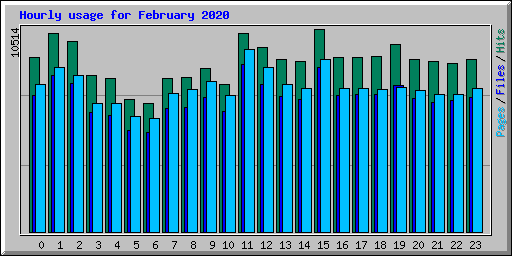 Hourly usage for February 2020